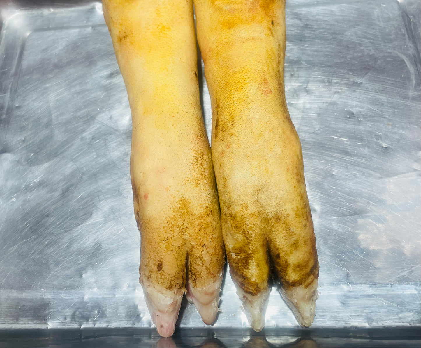 Patas De Cerdo