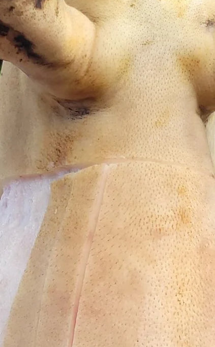 Cuero De Cerdo(chamuscado)